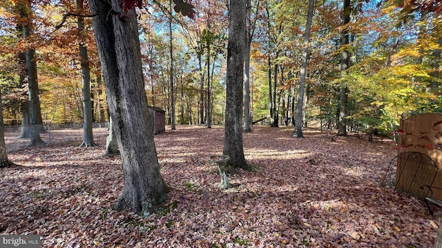 view of local wilderness