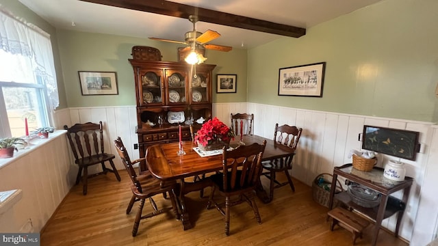 dining space featuring ceiling fan, beam ceiling, and light hardwood / wood-style flooring