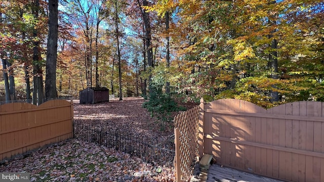 view of yard with a storage shed