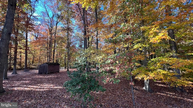 view of yard with a storage shed