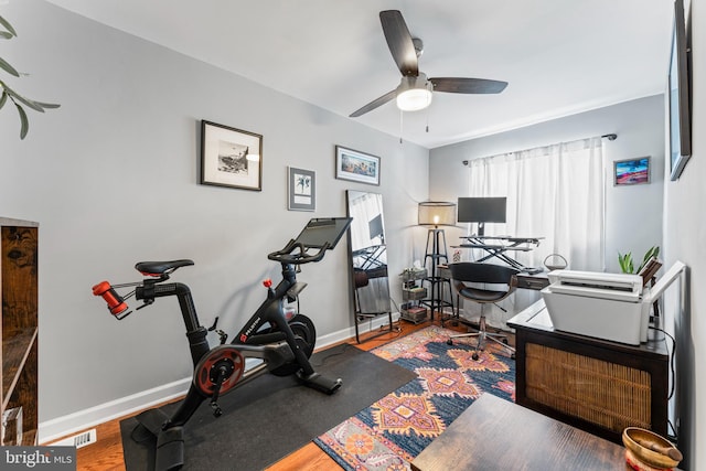 workout area featuring ceiling fan and hardwood / wood-style floors