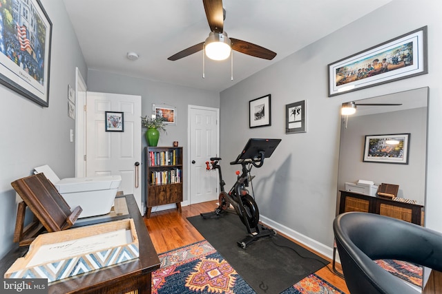 exercise area featuring ceiling fan and wood-type flooring