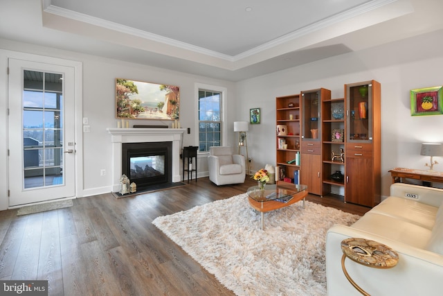 living area featuring a tray ceiling, dark wood finished floors, and a glass covered fireplace