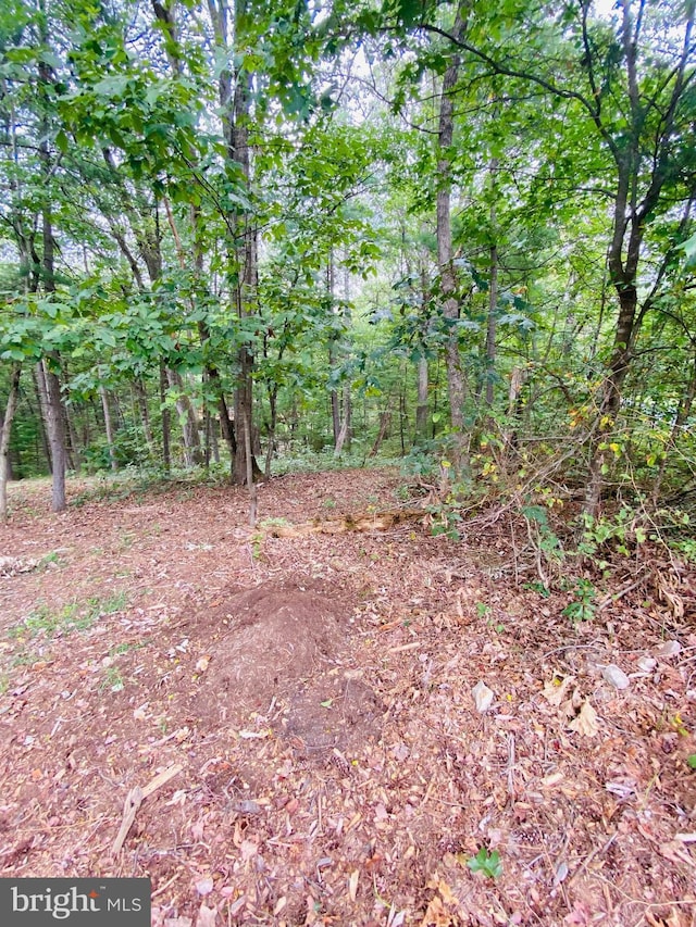 LOT294 Cottonwood Dr, Mount Jackson VA, 22842 land for sale