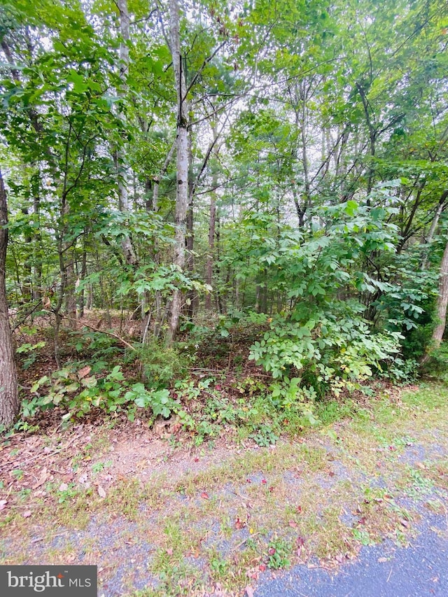 Listing photo 3 for LOT294 Cottonwood Dr, Mount Jackson VA 22842