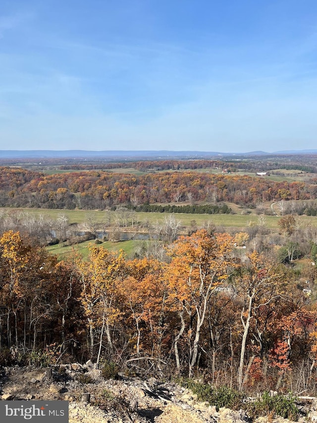 view of local wilderness with a rural view