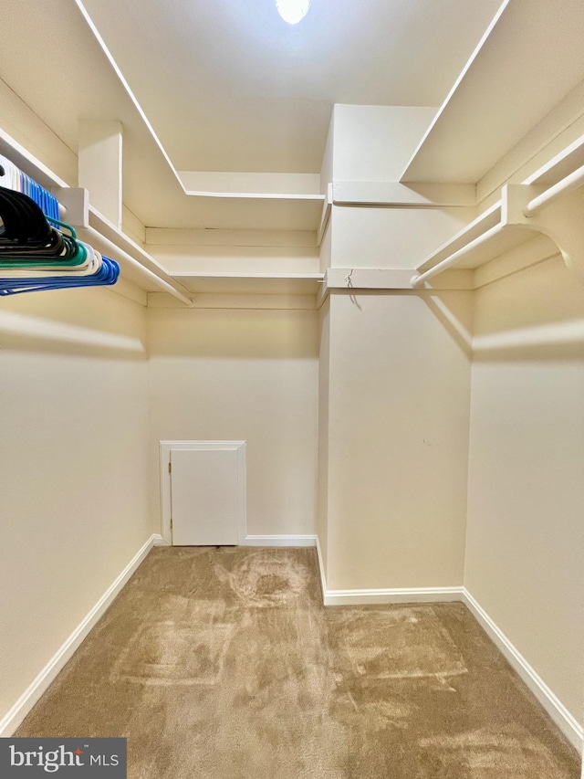 spacious closet with carpet floors