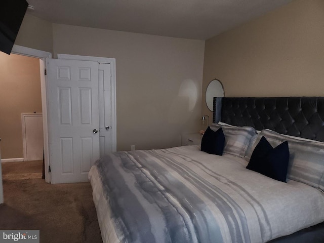 bedroom with a closet and carpet floors