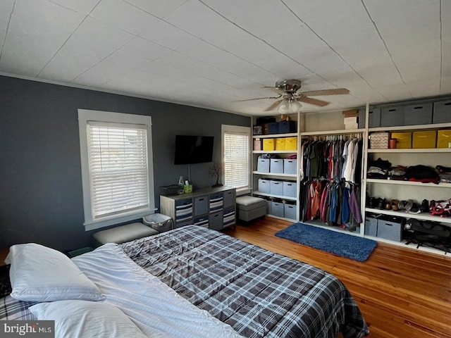 bedroom featuring multiple windows, ceiling fan, a closet, and hardwood / wood-style floors