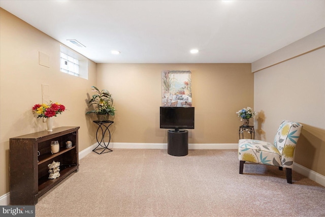 living area featuring carpet floors