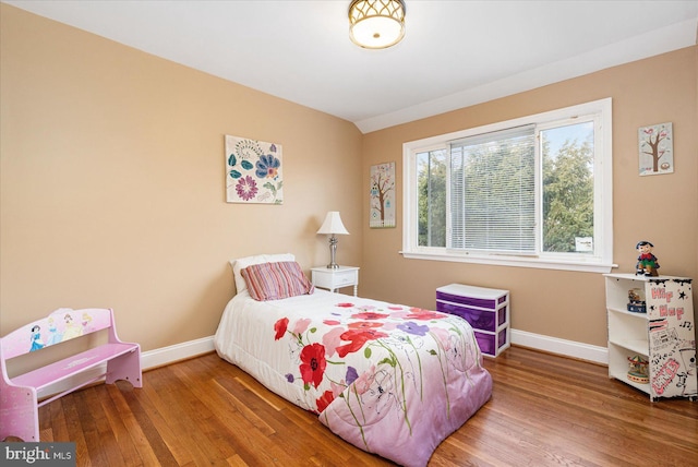 bedroom featuring wood-type flooring