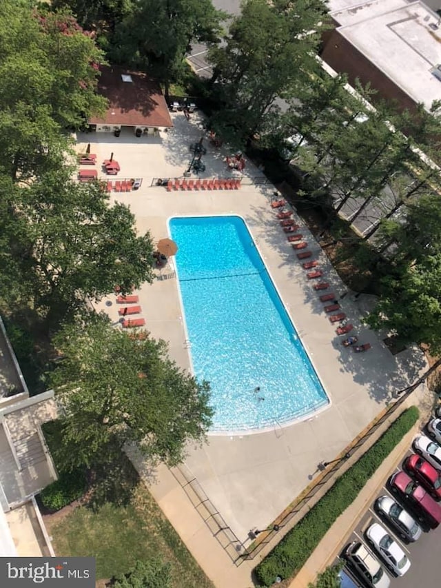 view of pool featuring a patio area