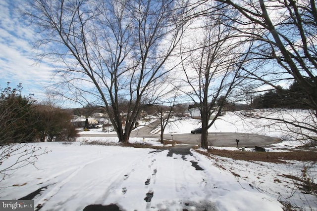 view of snowy yard