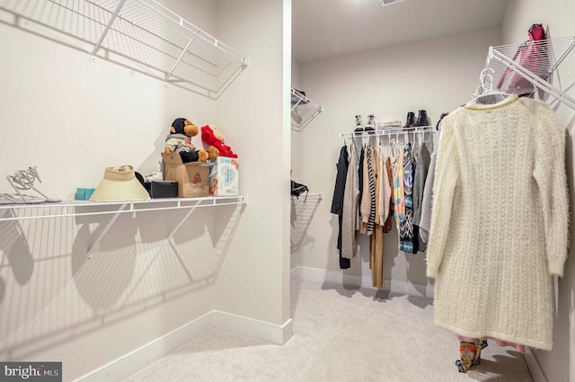 spacious closet with carpet