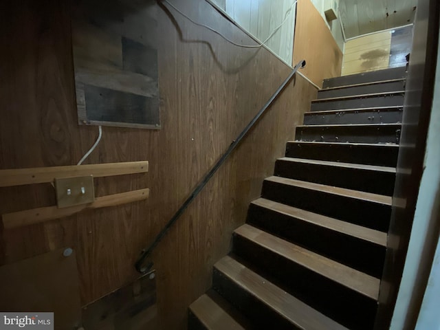 staircase with wood walls