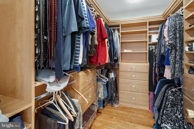 walk in closet featuring light hardwood / wood-style flooring