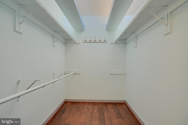 walk in closet featuring dark hardwood / wood-style floors