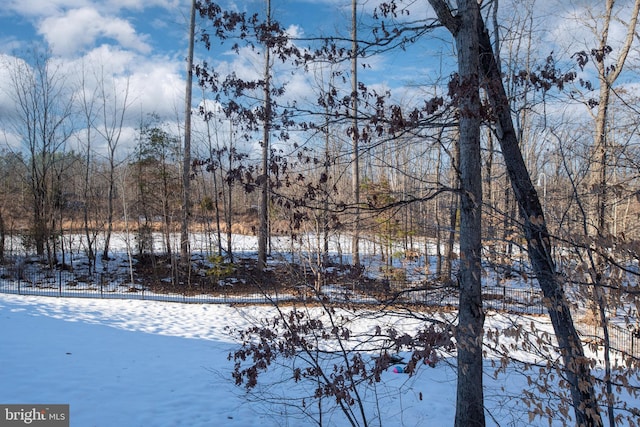 view of yard covered in snow