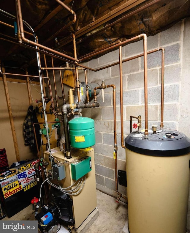 utility room with gas water heater