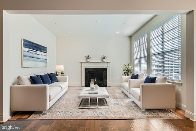 living room featuring a fireplace and light hardwood / wood-style floors