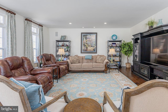 living room featuring dark wood-type flooring