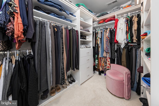 spacious closet with light colored carpet