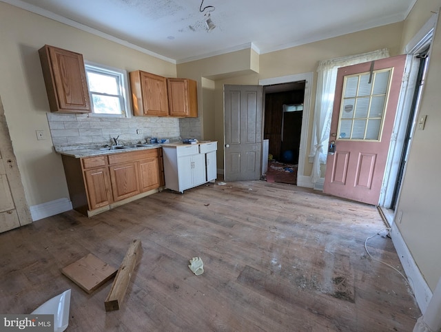 kitchen with light wood-type flooring, backsplash, crown molding, and sink