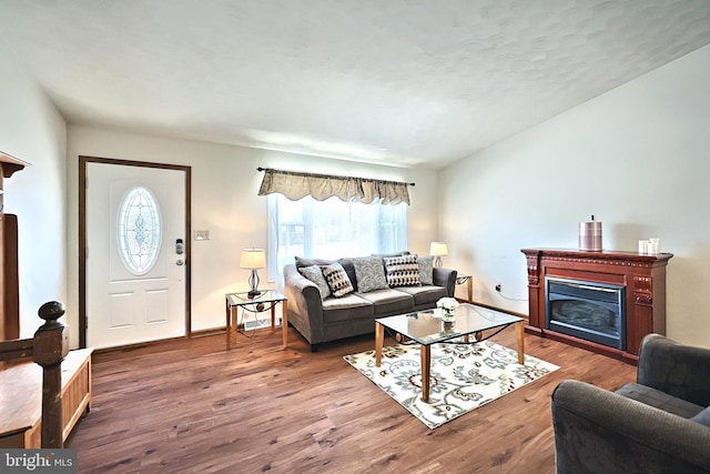 living room with wood-type flooring