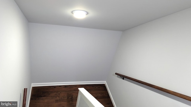 staircase featuring wood-type flooring