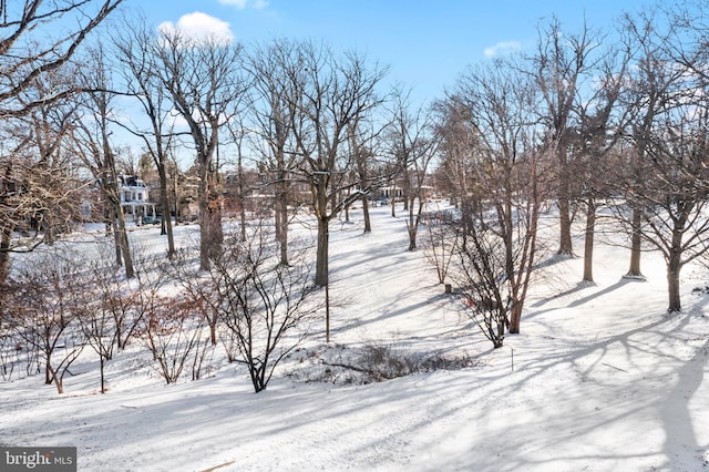 view of snowy yard