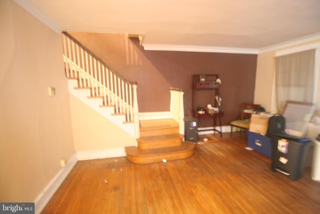 interior space with dark hardwood / wood-style floors and ornamental molding