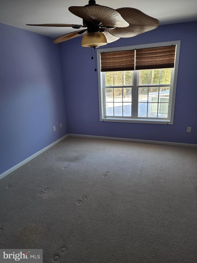 carpeted empty room with a ceiling fan, a wealth of natural light, and baseboards