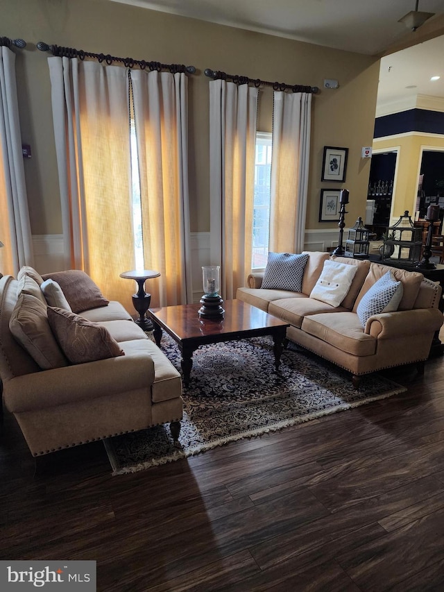 living room featuring dark wood-style flooring