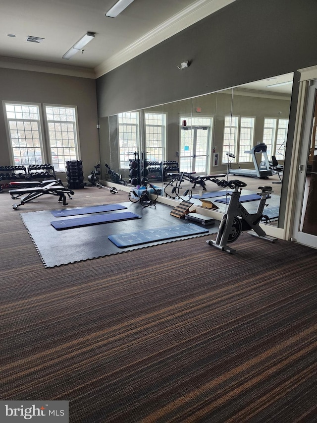 exercise room with ornamental molding, carpet, visible vents, and a healthy amount of sunlight