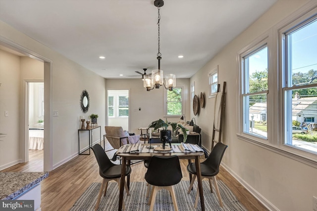 dining room featuring light hardwood / wood-style floors