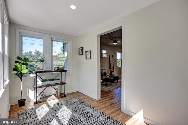 interior space featuring light hardwood / wood-style floors and plenty of natural light