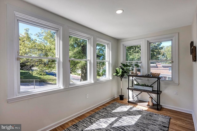 interior space featuring hardwood / wood-style floors