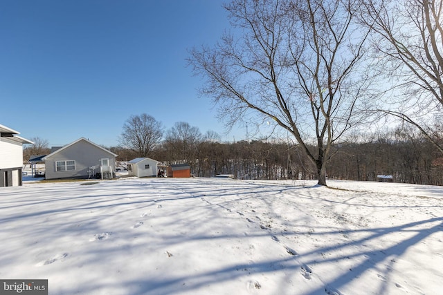 yard covered in snow with a storage shed