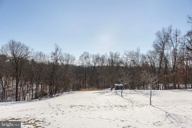 view of yard covered in snow