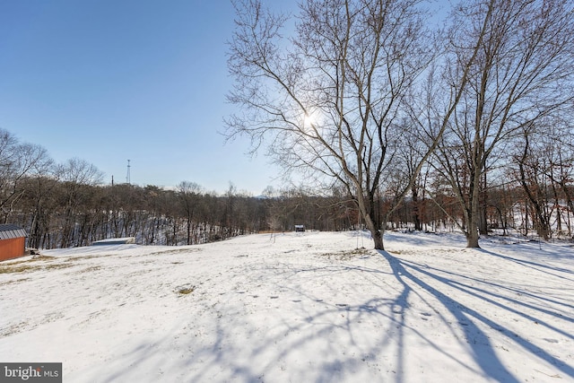 view of snowy yard