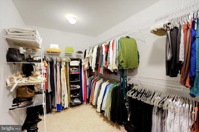 spacious closet featuring light carpet