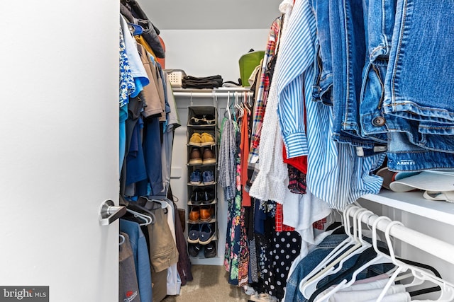 spacious closet with carpet flooring