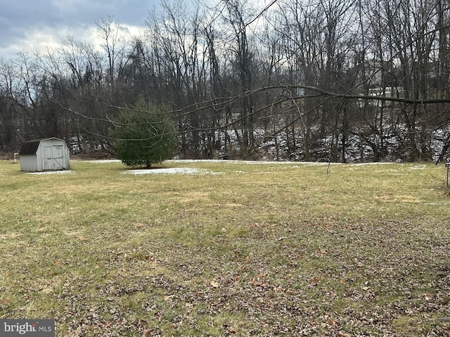 view of yard featuring a storage unit