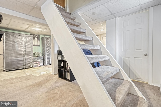 stairs featuring carpet flooring and a paneled ceiling