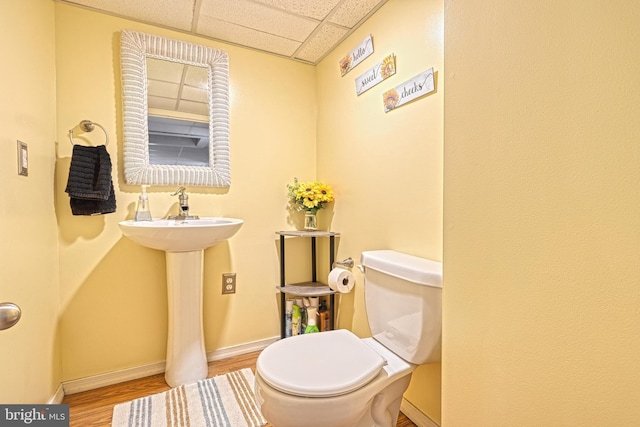 bathroom featuring a paneled ceiling, toilet, sink, and hardwood / wood-style flooring