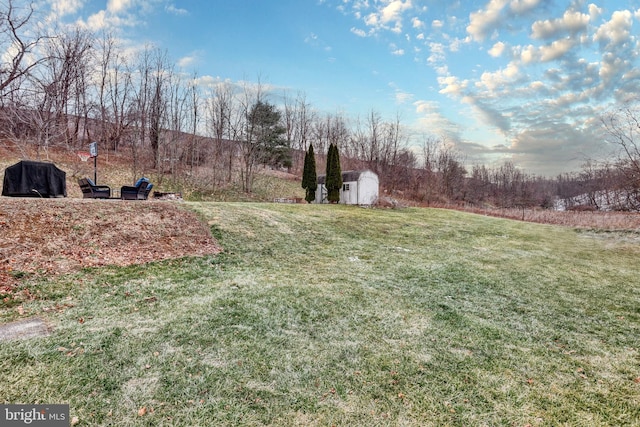 view of yard with a storage shed