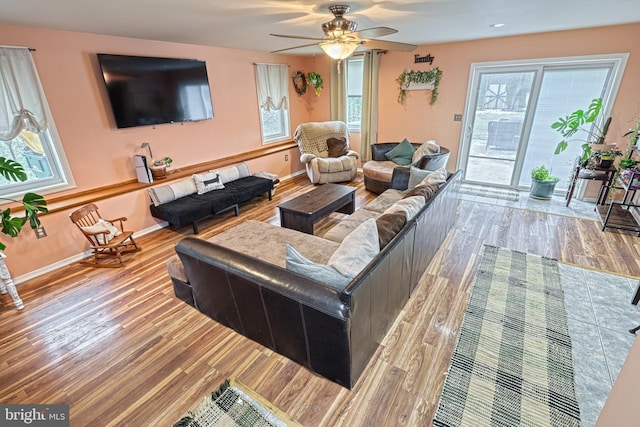 living room with hardwood / wood-style flooring and ceiling fan