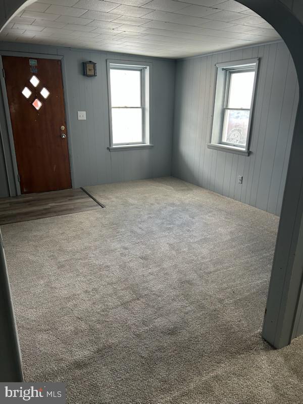 carpeted foyer entrance with wood walls and a healthy amount of sunlight