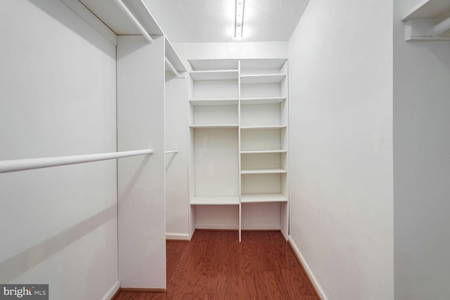 spacious closet with dark wood-type flooring