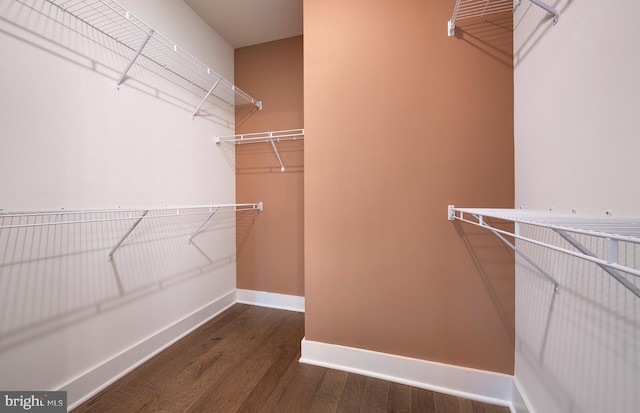 spacious closet with dark hardwood / wood-style floors